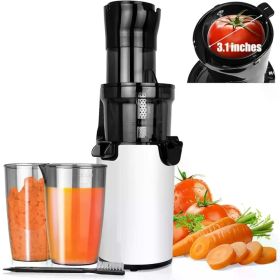 Cold Press Juicer Machine, Compact Masticating Juicer with 3.1" Wide Feed Chute, Slow Extractor for Fruit and Vegetable