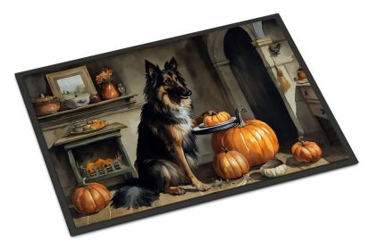 NEW Belgian Tervuren Fall Kitchen Pumpkins Doormat Front Door Mat Indoor Outdoor Rugs for Entryway, Non Slip Washable Low Pile, 18H X 27W